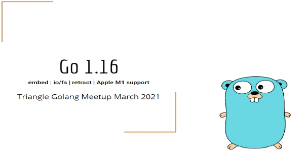 Go 1.16 Release Overview